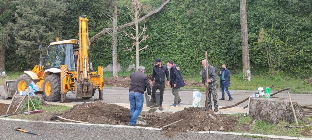 παραλίμνιο Ιωαννίνων φύτευση δέντρων