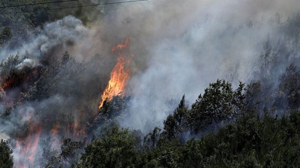 Θεσσαλονίκη - Φωτιά στο Σέιχ Σου