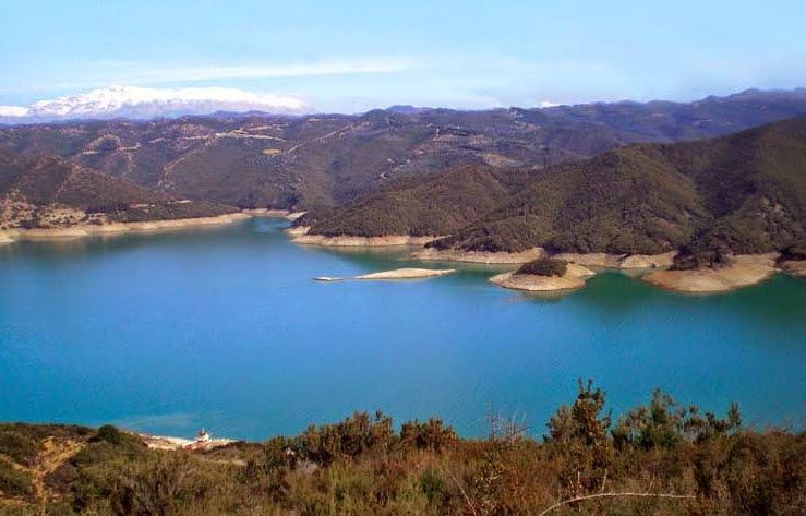 μέδουσα στη Λίμνη Ζαραβίνα